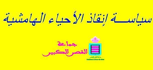 سياسة إنقاذ الأحياء الهامشية