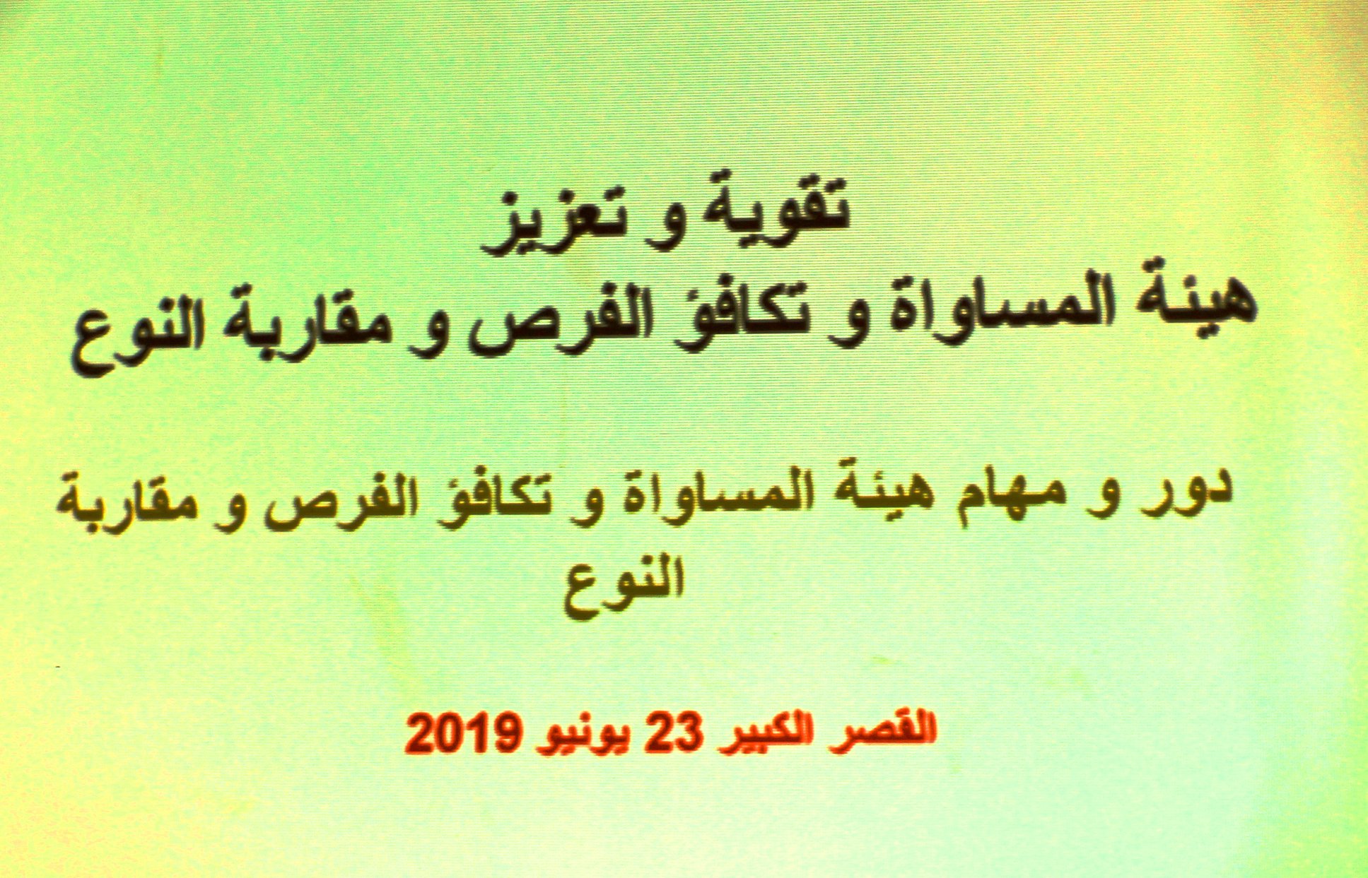 دورة تكوينية لهيئة المساواة وتكافؤ الفرص ومقاربة النوع