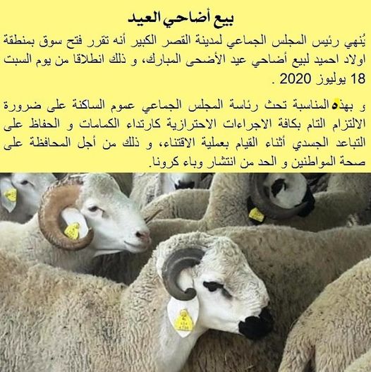 فتح سوق أضاحي العيد