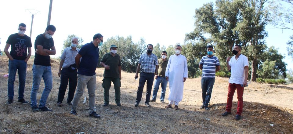 الانطلاق في تنزيل المنتزه الغابوي بضواحي القصر الكبير بمنطقة عين عبيد