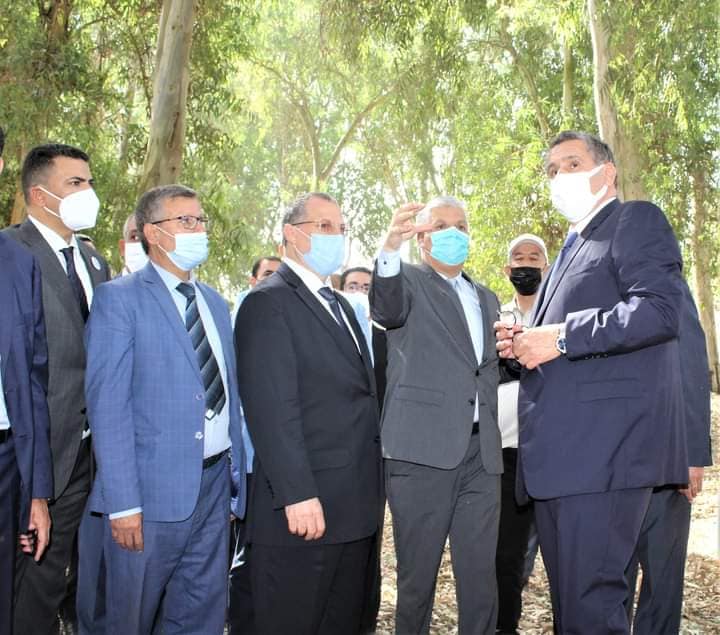 الانطلاق في تنزيل المنتزه الغابوي