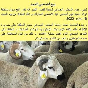 فتح سوق أضاحي العيد